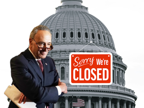 schumer shutdown